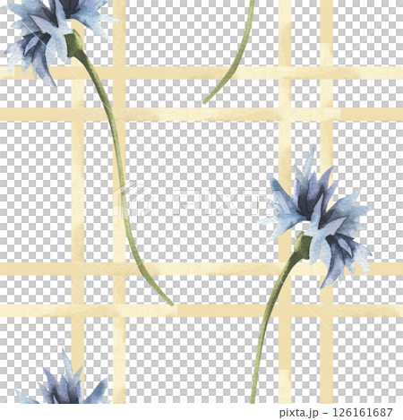 Field blue flowers seamless pattern with cornflowers watercolor illustrations on striped background. Hand drawn rustic floral clipart on striped beige background for eco product packing design 126161687