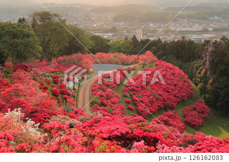 笠間つつじ公園の夕景 126162083