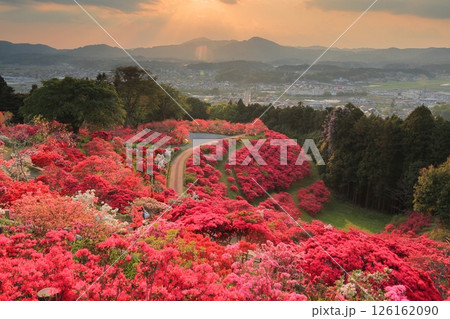 笠間つつじ公園の夕景 126162090