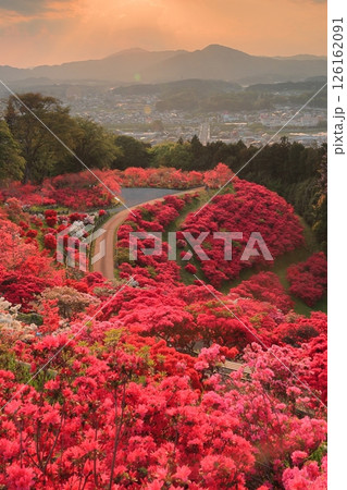 笠間つつじ公園の夕景 126162091