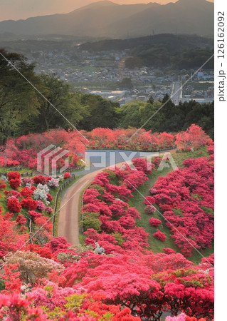 笠間つつじ公園の夕景 126162092