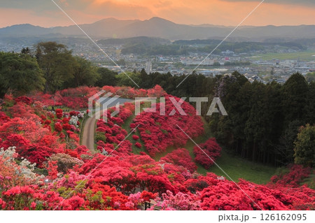 笠間つつじ公園の夕景 126162095