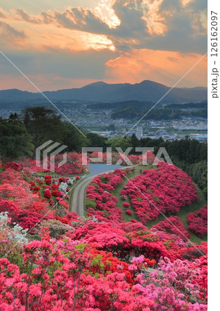 笠間つつじ公園の夕景 126162097