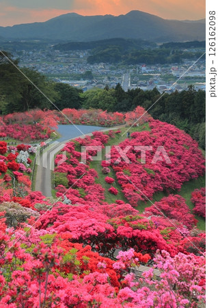 笠間つつじ公園の夕景 126162098