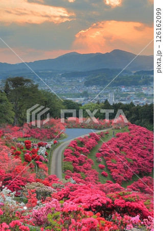 笠間つつじ公園の夕景 126162099