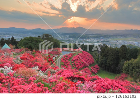 笠間つつじ公園の夕景 126162102