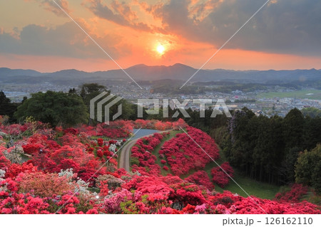 笠間つつじ公園の夕景 126162110