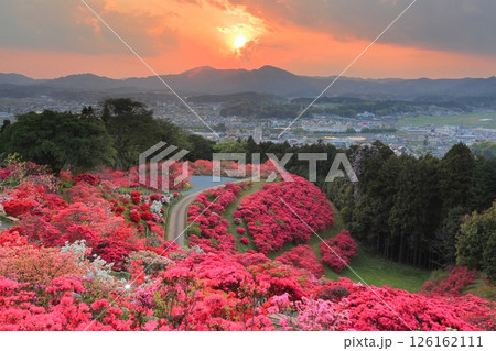 笠間つつじ公園の夕景 126162111