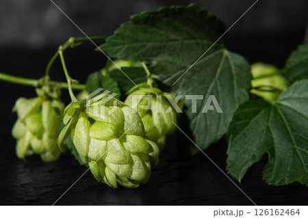 Fresh green hops on a dark wooden table. Beer production. 126162464