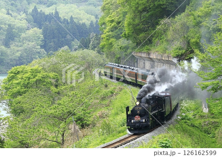 新緑の磐越西線SL 126162599