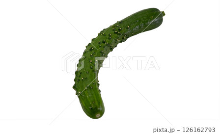 新鮮なもぎりきゅうり 物撮り　白背景 126162793