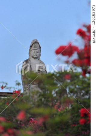 茨城県笠間つつじ公園の夕景 126162975