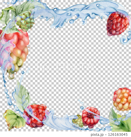 Raspberry berries leaves flying in dew drops, water splash, ripe garden dewberry cloudberry mulberry loganberry hand drawn in watercolor. Isolated border square corner frame. Farmers market stationery 126163045