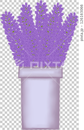 Beautiful idea and style of purple flowers in the purple ceramic vase for decorate in a home or flower shop. Beautiful idea and style of purple flowers in the purple ceramic vase for decorate in a home or flower shop. 126163066
