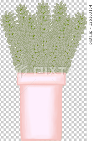 Beautiful idea and style of green flowers in the pink ceramic vase for decorate in a home or flower shop. Beautiful idea and style of green flowers in the pink ceramic vase for decorate in a home or flower shop. 126163154