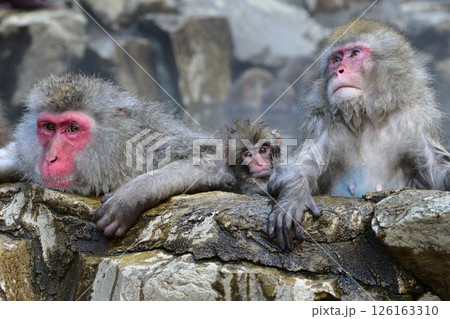 温泉に入る猿 126163310