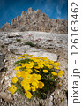 Giau Pass, Dolomites Italy 126163462