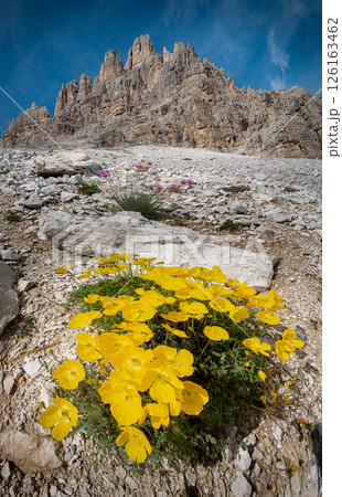 Giau Pass, Dolomites Italy Giau Pass, Dolomites Italy 126163462