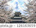 舞鶴公園の桜 126163659