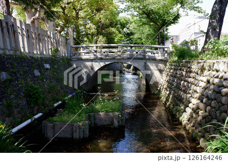 岐阜県大垣市　八幡神社そばの水門川支流 126164246