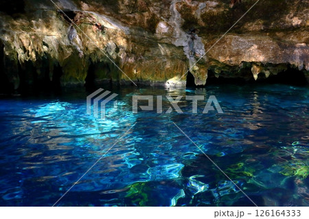 中米メキシコのカンクンにて、透明度抜群の秘境グランセノーテ 中米メキシコのカンクンにて、透明度抜群の秘境グランセノーテ 126164333