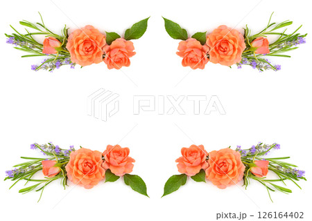 Pink flower rose, lavender composition isolated on white. Free space for text. Collage. 126164402