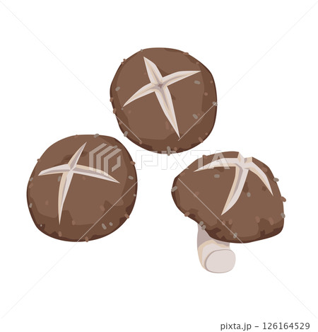 飾り切りシイタケのイラスト 126164529