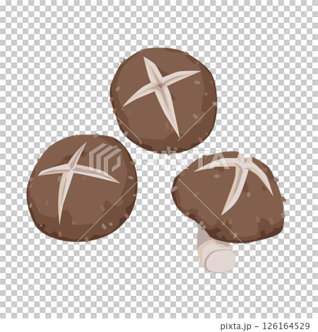 Illustration of decoratively cut shiitake mushrooms 126164529