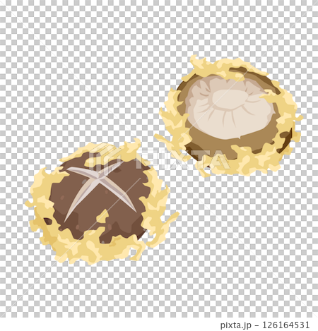 Shiitake mushroom tempura illustration 126164531
