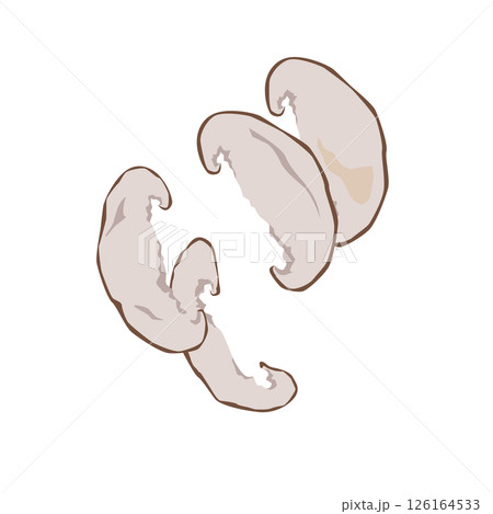 スライス干し椎茸のイラスト 126164533