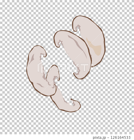 スライス干し椎茸のイラスト 126164533