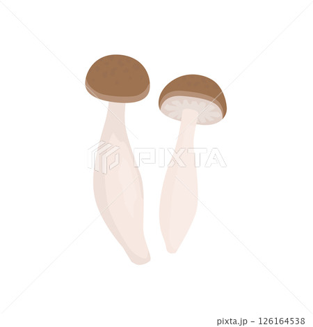 ぶなしめじのイラスト 126164538