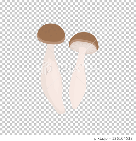 ぶなしめじのイラスト 126164538