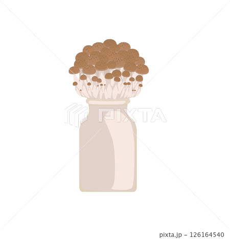 ぶなしめじのイラスト 126164540