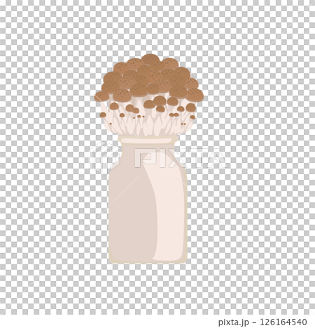 ぶなしめじのイラスト 126164540