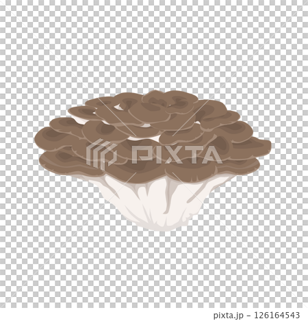 舞茸的插圖 126164543