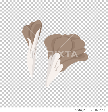 舞茸切塊插圖 126164544