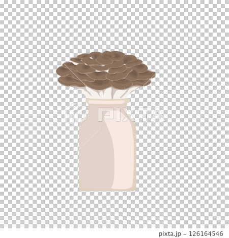 舞茸栽培のイラスト 126164546