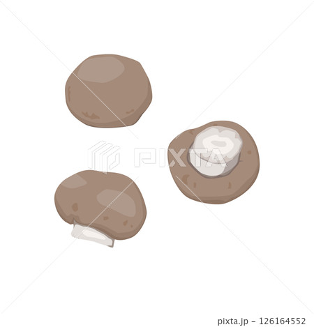 マッシュルームのイラスト 126164552