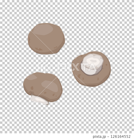 マッシュルームのイラスト 126164552