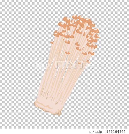 えのき茸のイラスト 126164563
