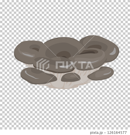 ひらたけのイラスト 126164577