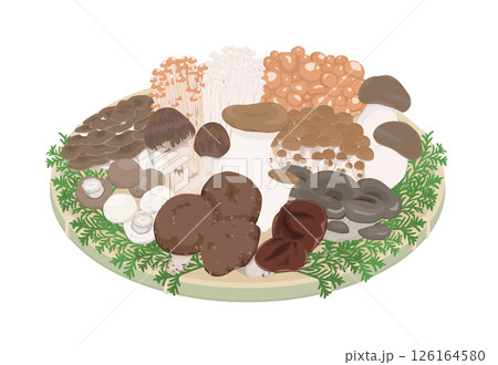 キノコ盛り合わせのイラスト 126164580