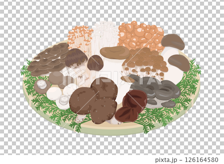 什錦蘑菇的插圖 126164580