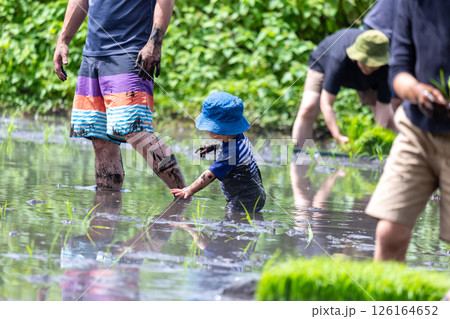 親子で田植え体験　幼児 126164652