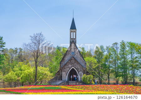 ひるがの高原 牧歌の里、満開のチューリップ〈岐阜県郡上市〉 126164670