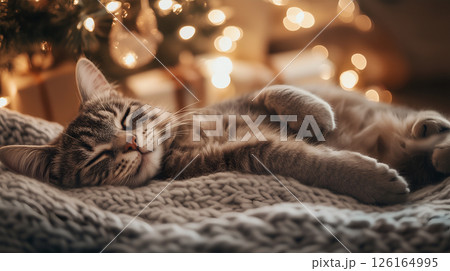 A sleeping cat nestled on a cozy blanket beside a beautifully decorated Christmas tree 126164995