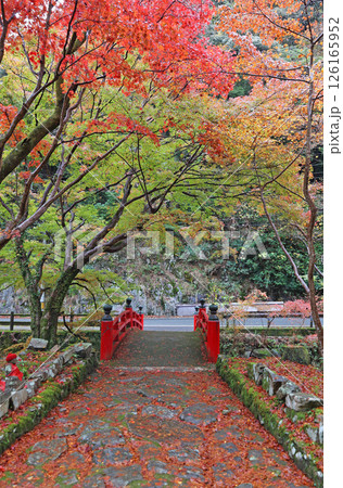 大寧寺の紅葉 大寧寺の紅葉 126165952