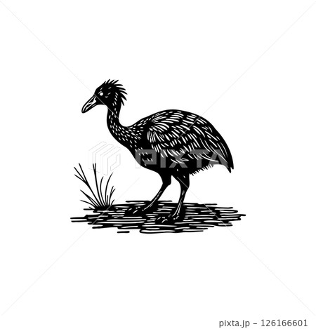 Monochrome rendering of a solitary cassowary standing amidst sparse vegetation Monochrome rendering of a solitary cassowary standing amidst sparse vegetation 126166601