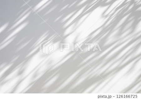 Abstract natural tree leaves shadow on white wall background 126166725
